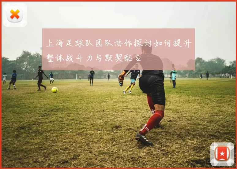 上海足球队团队协作探讨如何提升整体战斗力与默契配合